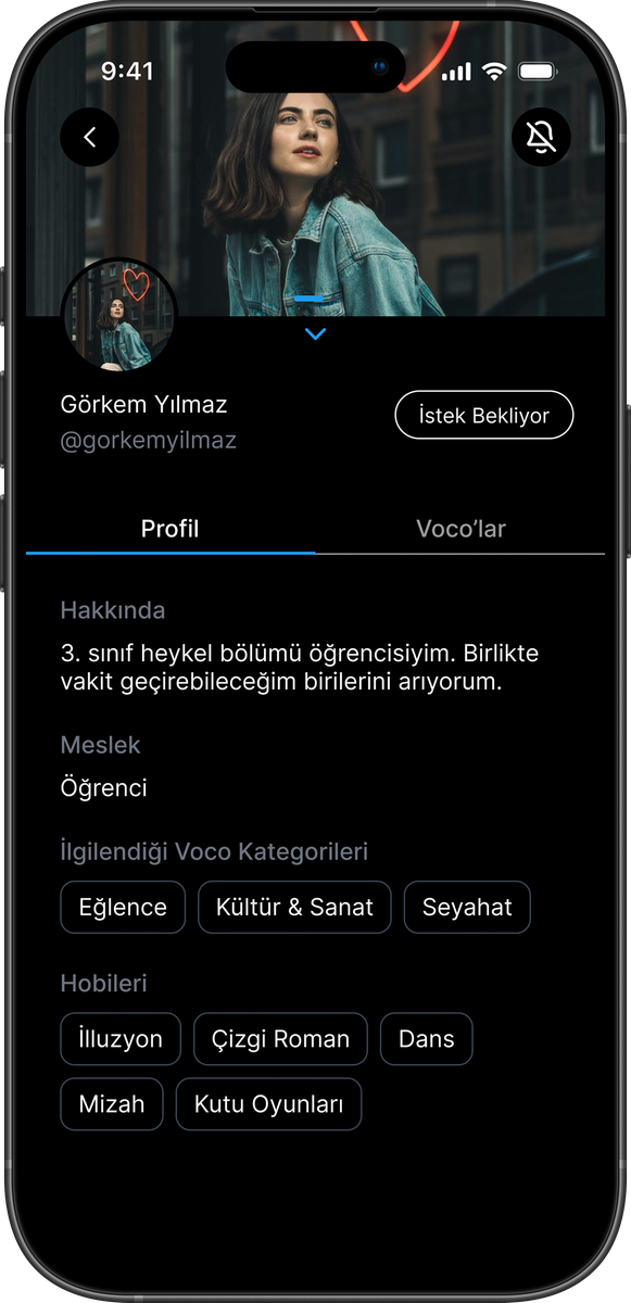 Pro sayfası
